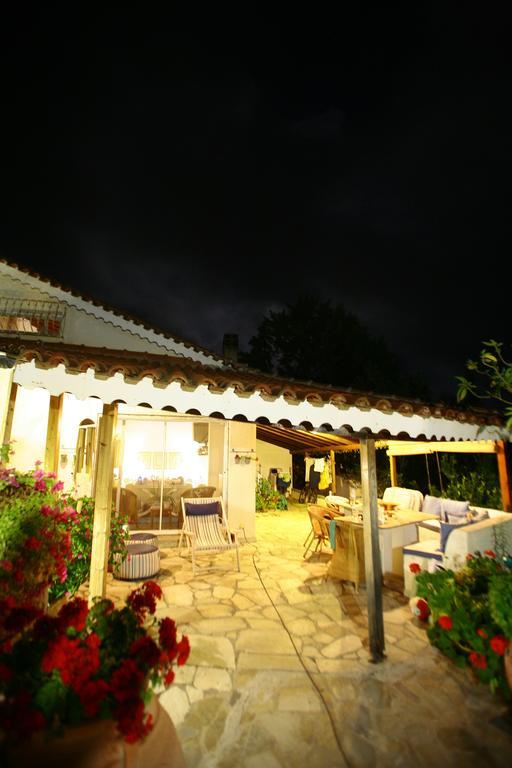 Palmina Mare And