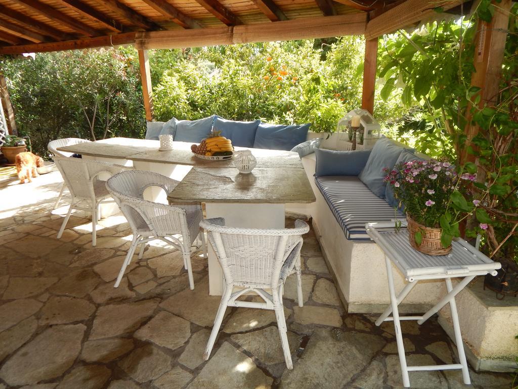 Palmina Mare And