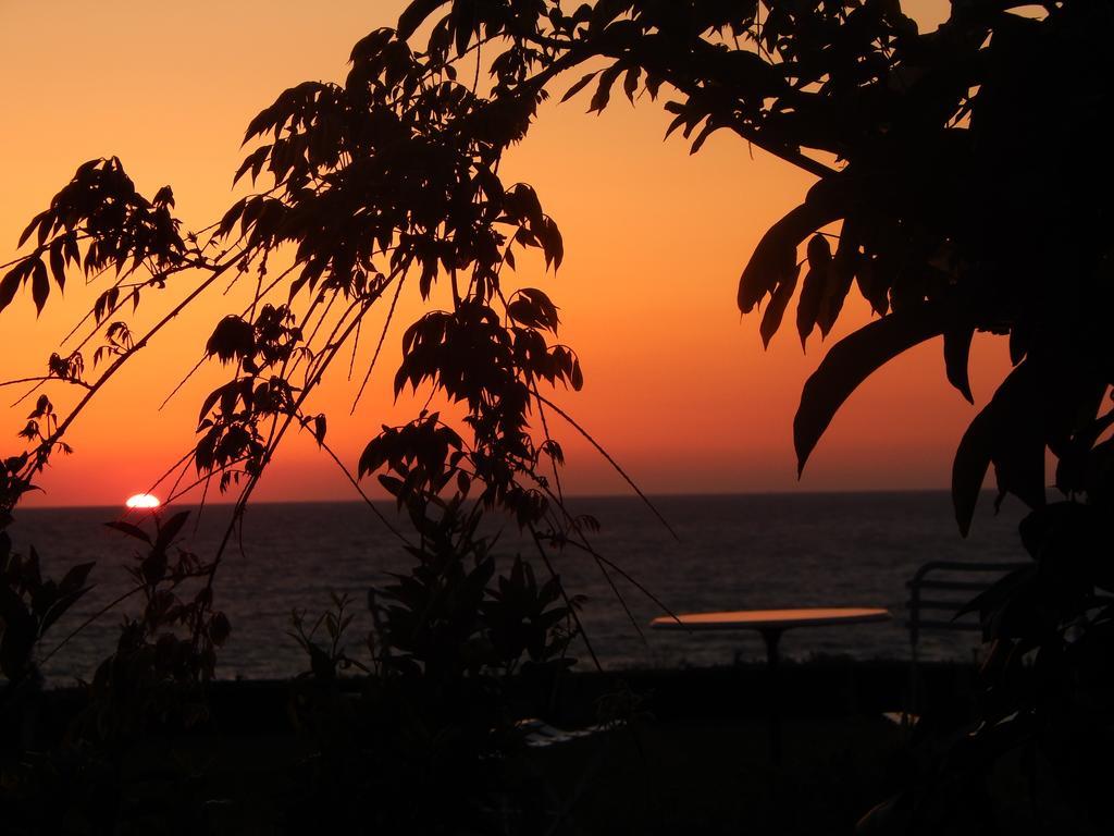 Palmina Mare And Apartment