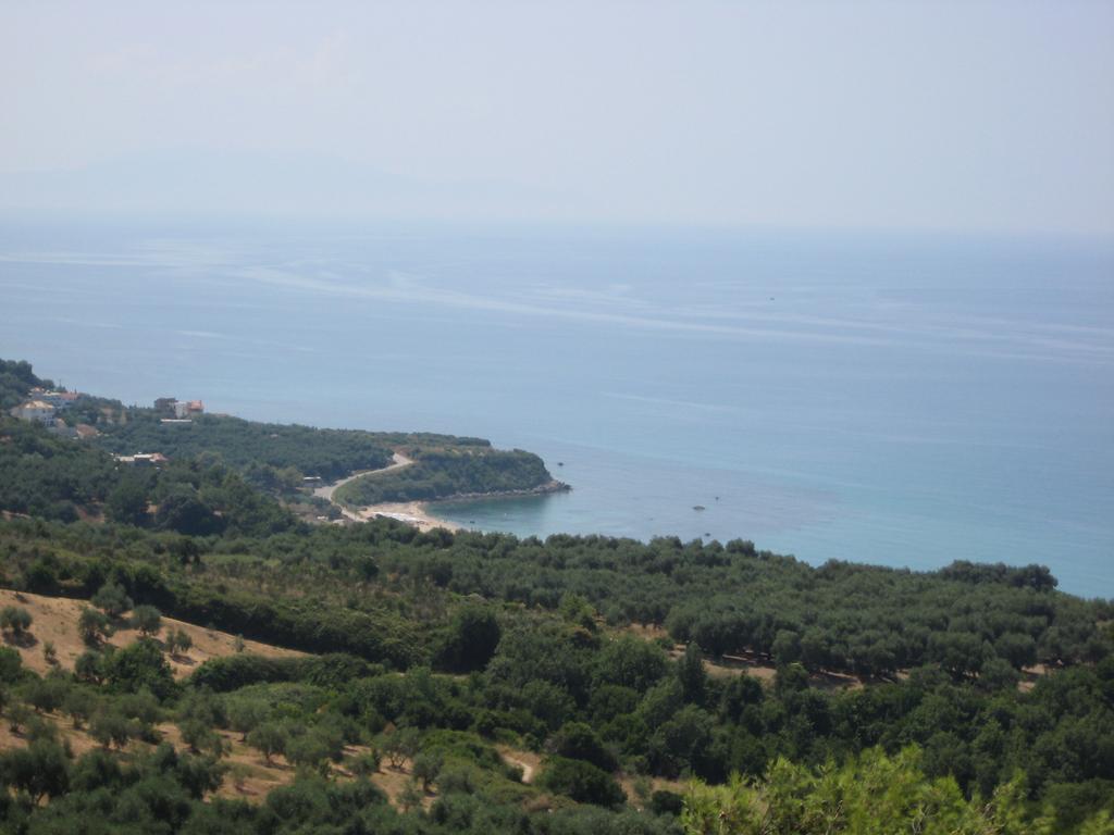 Palmina Mare And *
