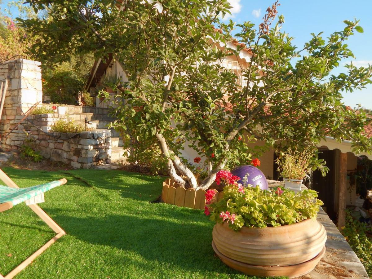 Palmina Mare And Paralia Vrachou