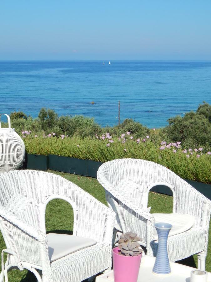 Palmina Mare And